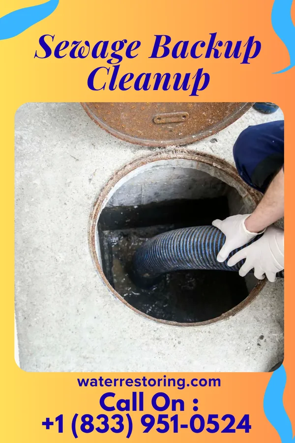 Sewage Backup Cleanup in Choudrant, LA