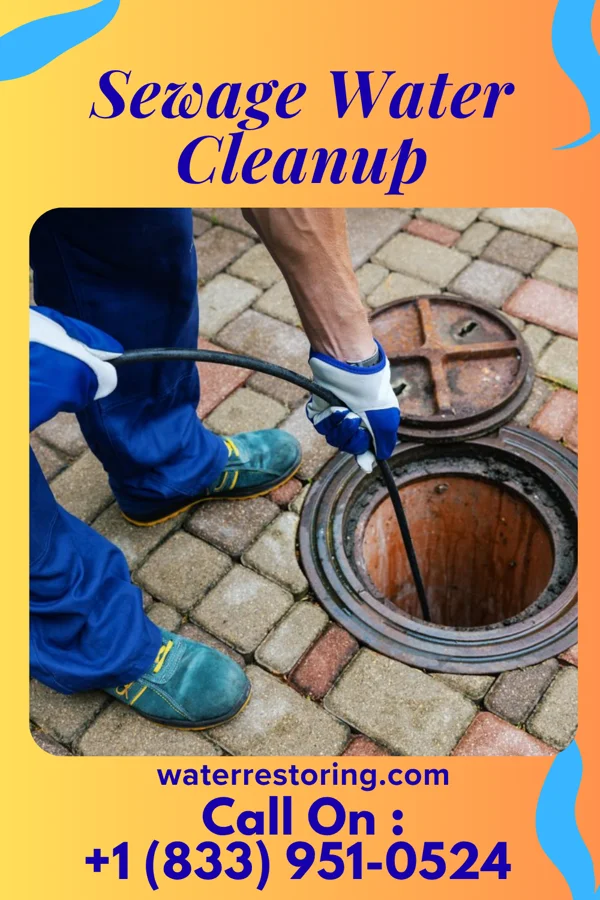 Sewage Water Cleanup in Choudrant, LA